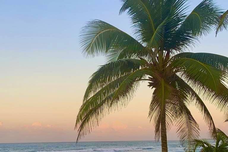 Beaches