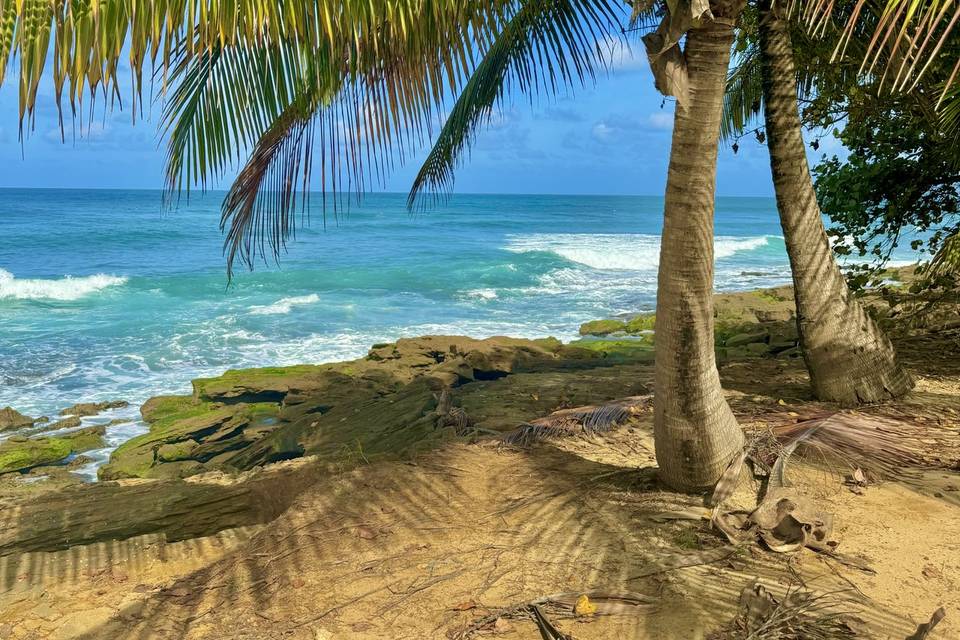 Beaches