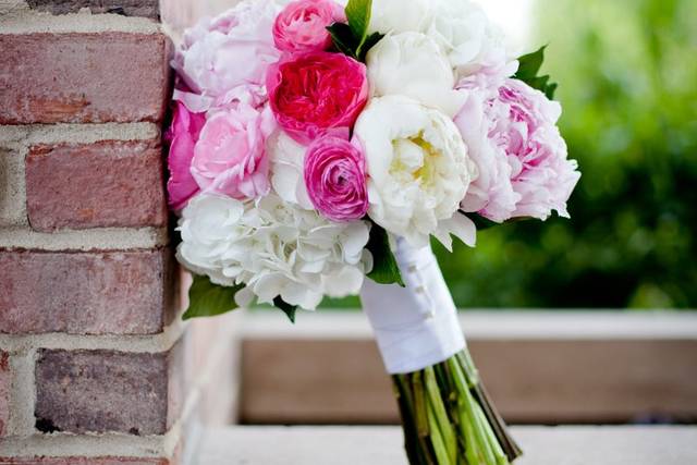 Genesa Richards Photography