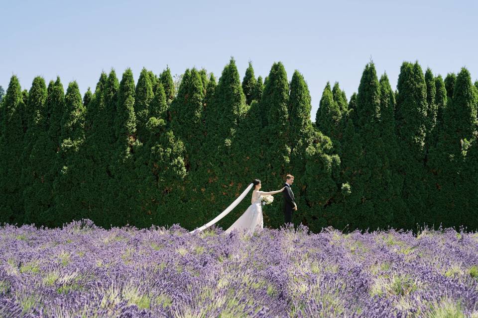 Nestldown Wedding in Los Gatos