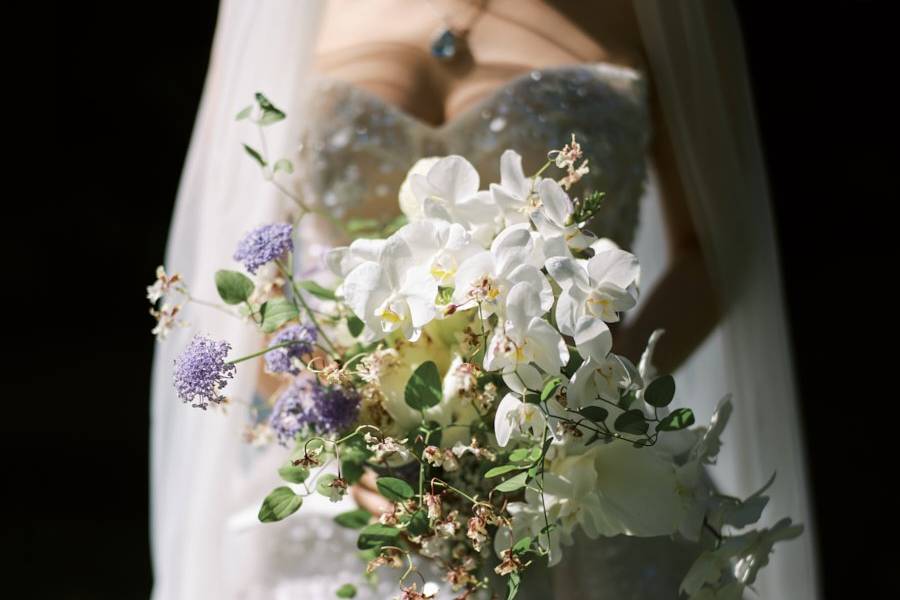 Wedding Party Photos
