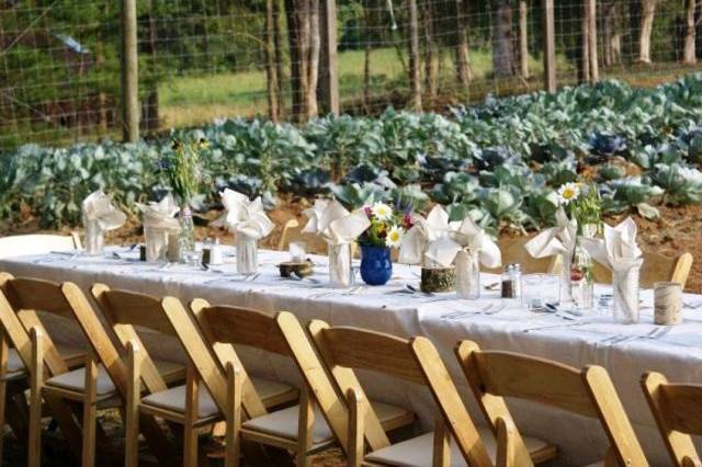 Table setup with centerpiece