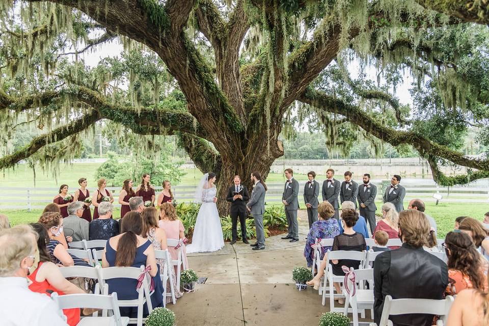 Tree Ceremony Highland Manor