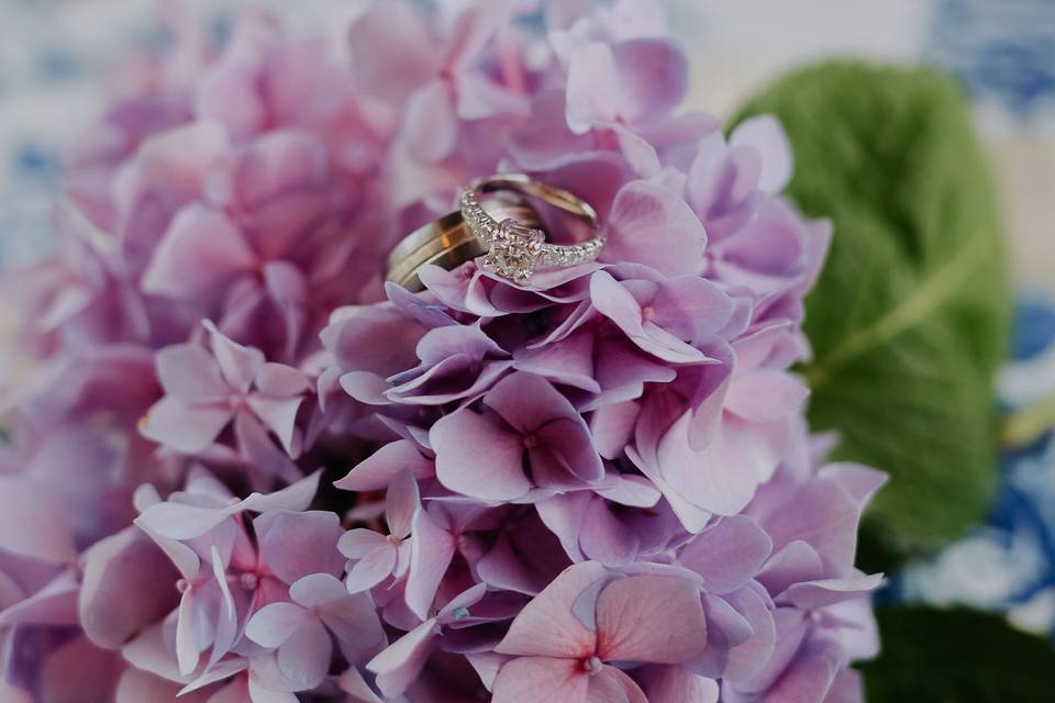 Brooklyn Yager Photography