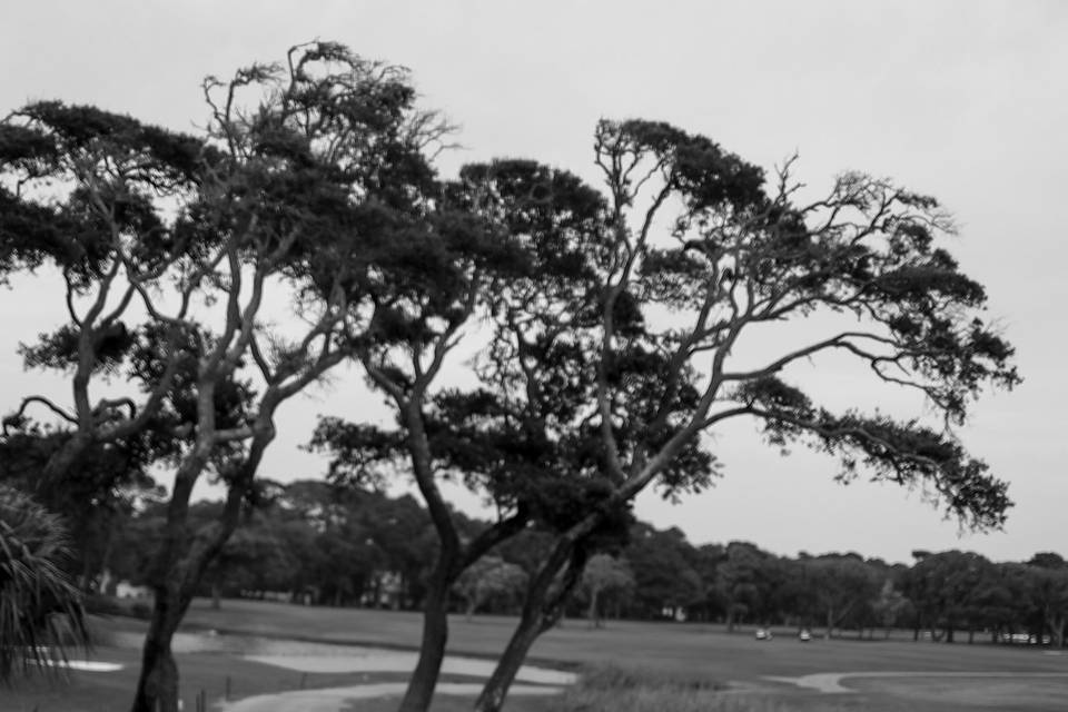 Brooklyn Yager Photography