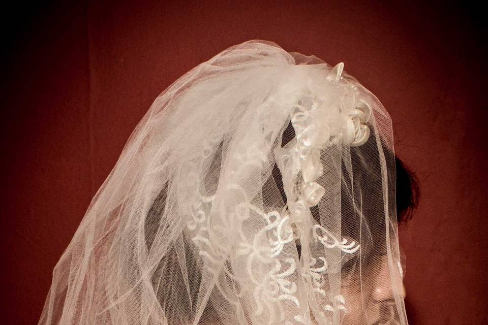 Bridal Portrait with Veil