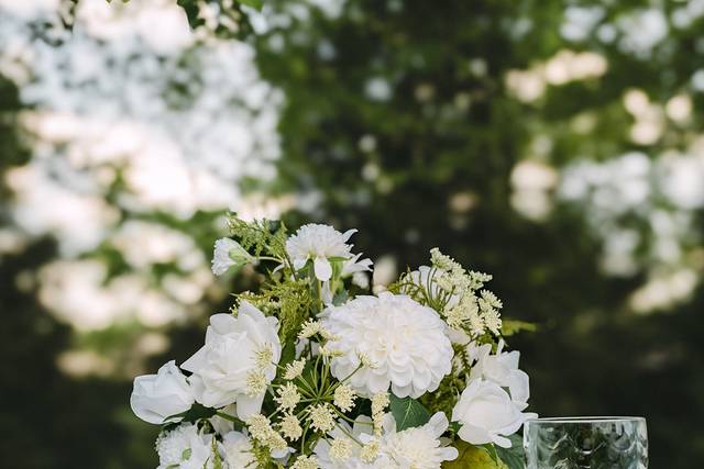 Ivory plus Bloom Co..