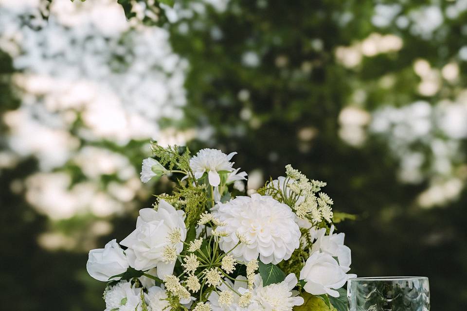 Ivory plus Bloom Co..