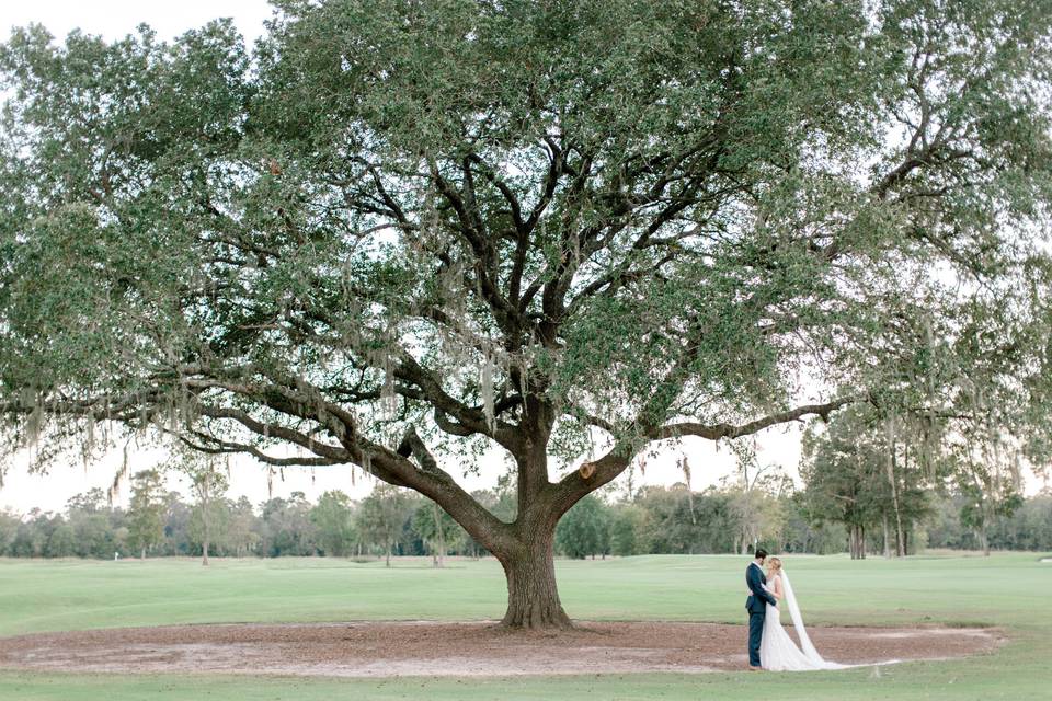 Beneath the great oak tree