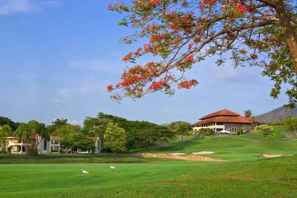 The Westin Reserva Conchal, an All-Inclusive Golf Resort & Spa