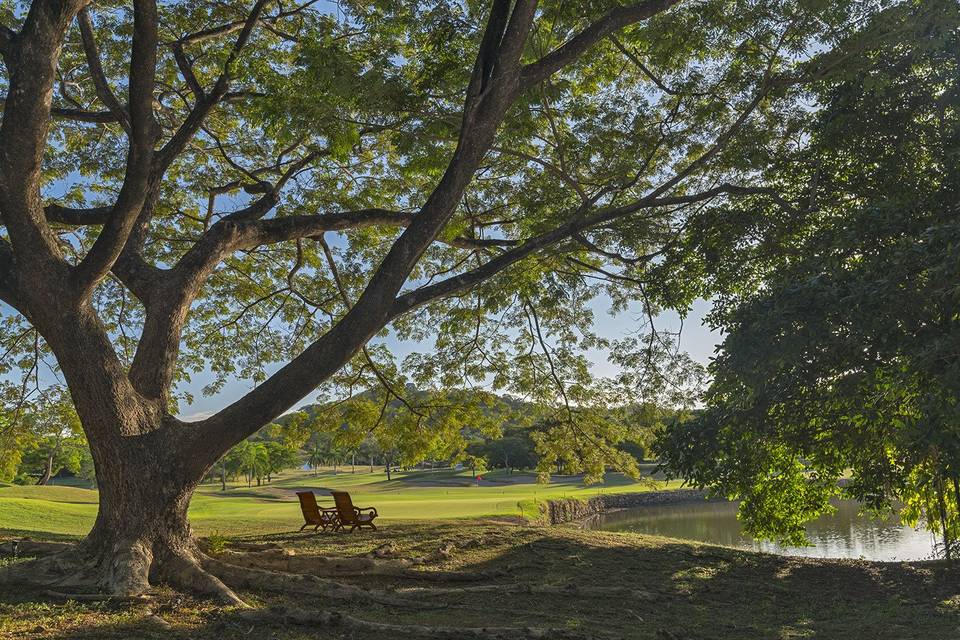 Golf Course View