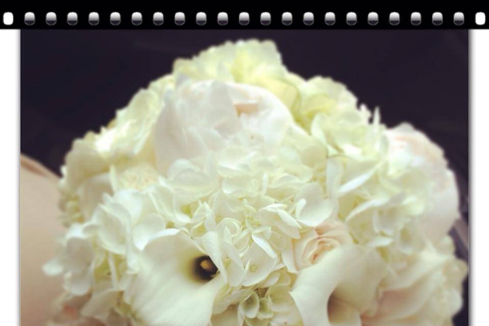 VY Decoration