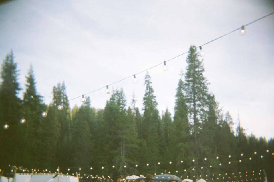 Holga film