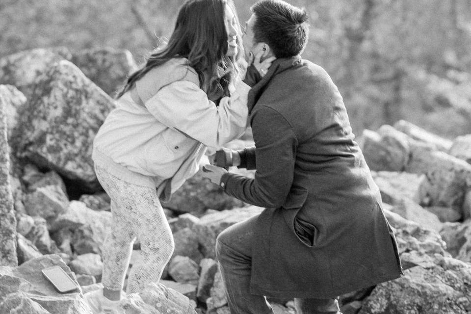 VA Surprise Proposal