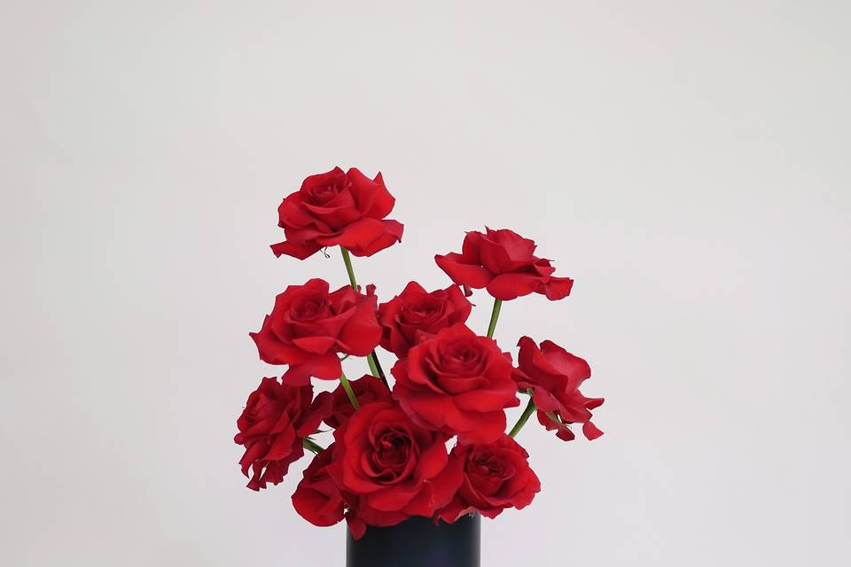 Dozen red rose arrangement