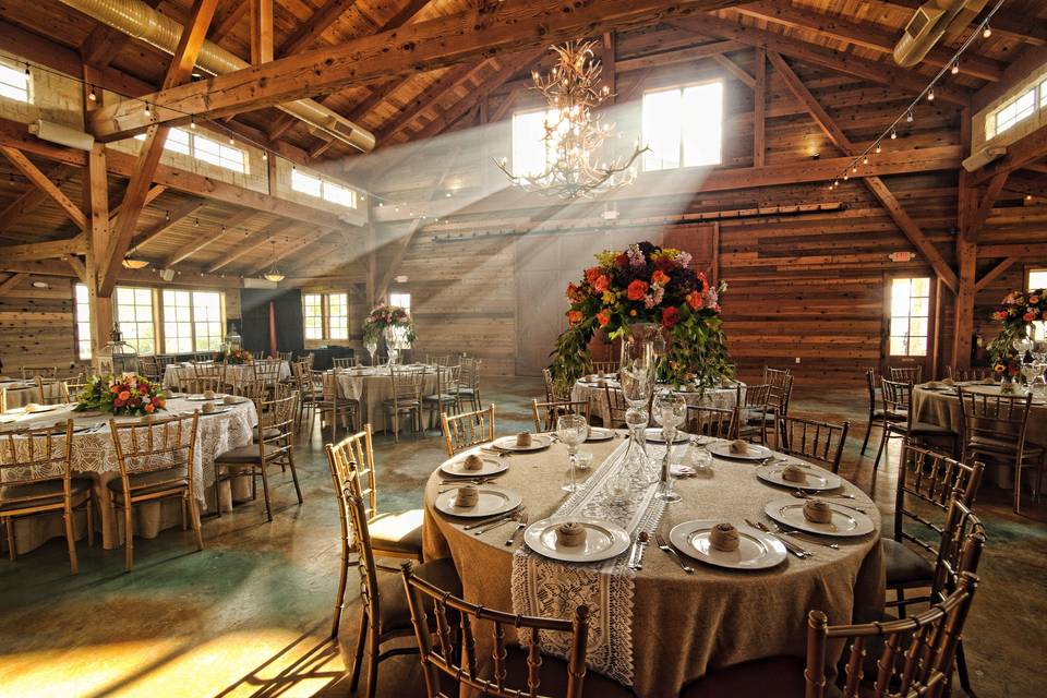 Table setup with centerpiece