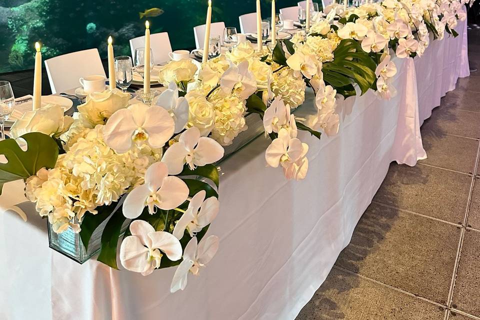 Head table Aquarium