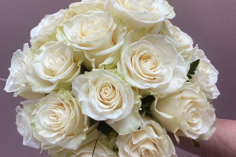 All white roses