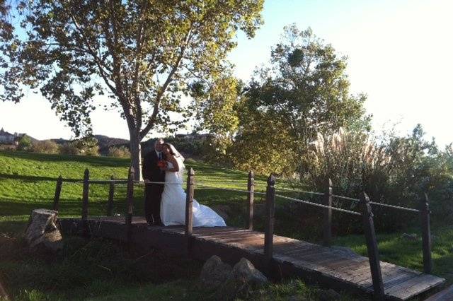 Bride and groom