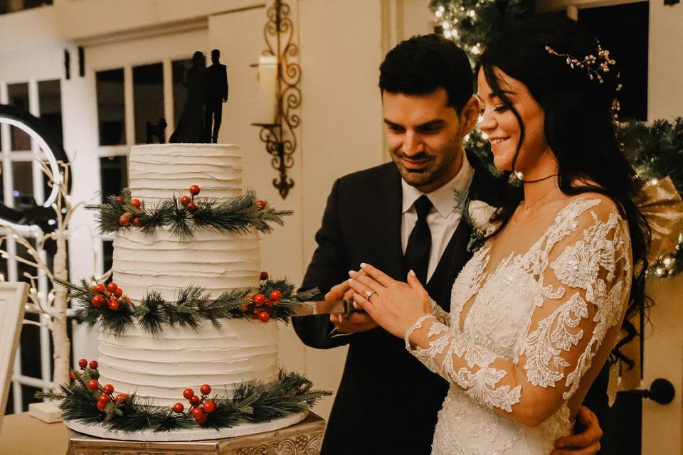 Cake Cutting