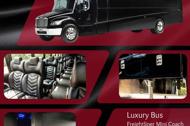 Luxury Minibus 3