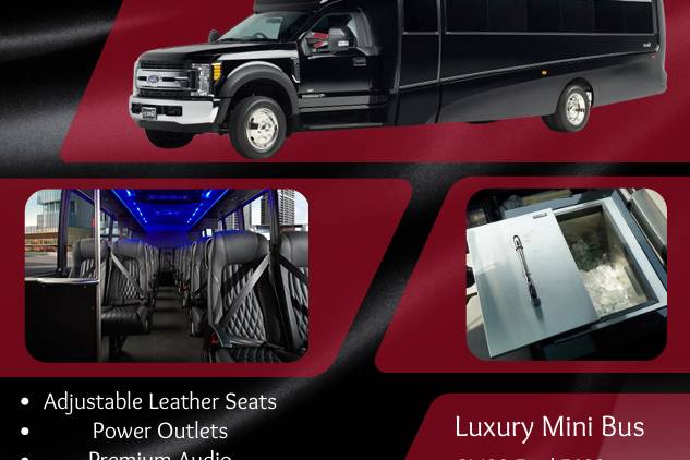 Luxury Minibus 2