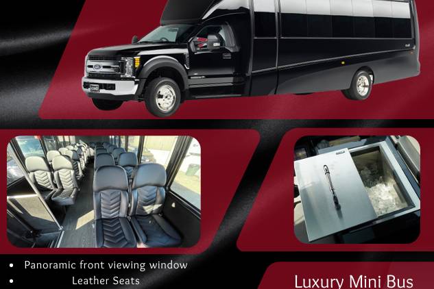 Luxury Minibus 1