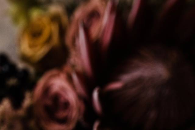 Steph Jones Photography