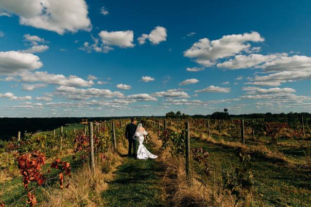 Chenault vineyards shop