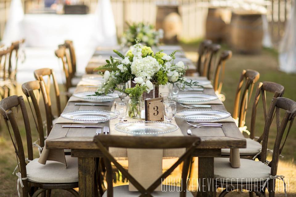 Farm Table and X Back Chairs