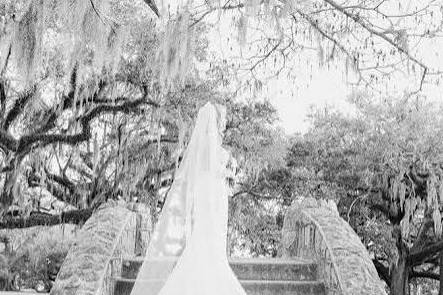 Bridal