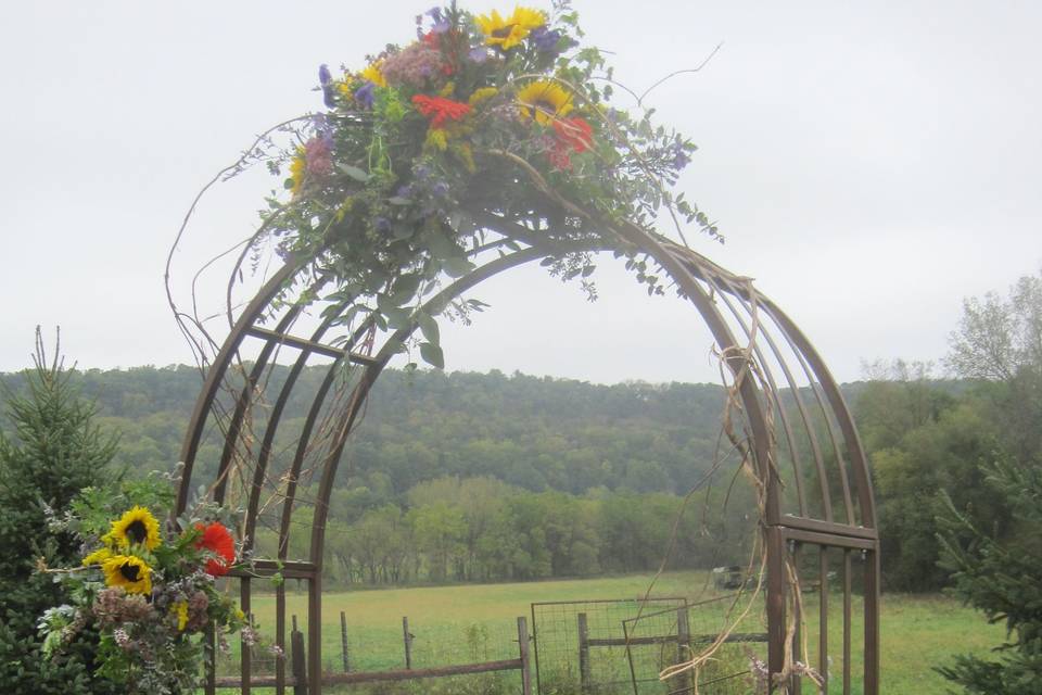 Down on the farm flowers