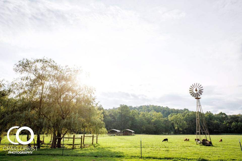 Dickson wedding - craig obrist photography