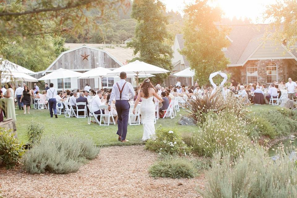 Dinner on the Lawn