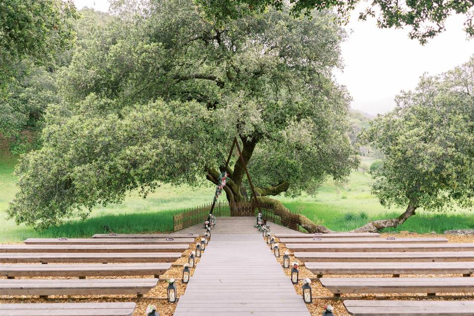 Oak Tree Terrace