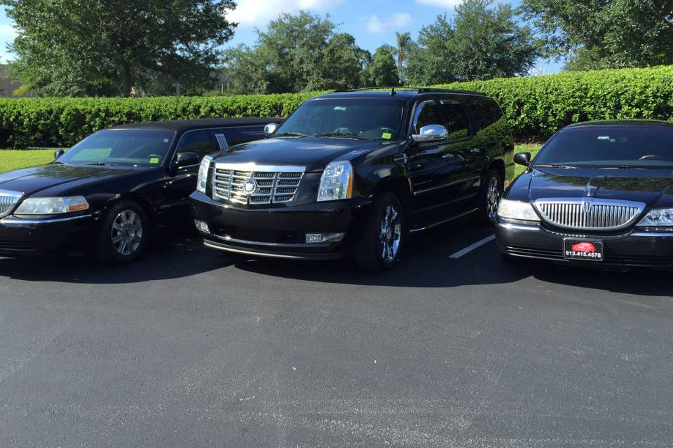 Tampa Limo & Car LLC