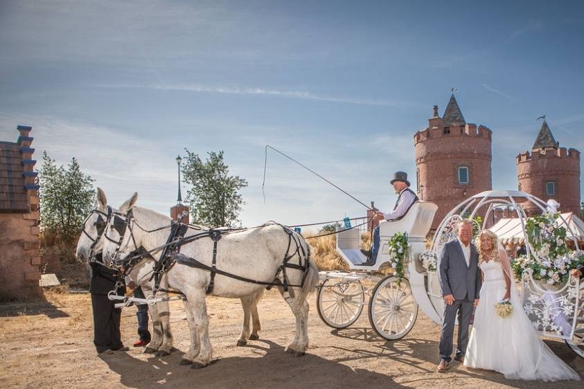 Wedding