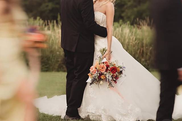 Flightless Bird Photography