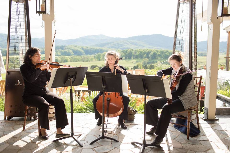 The Bloom Trio & Event Musicians