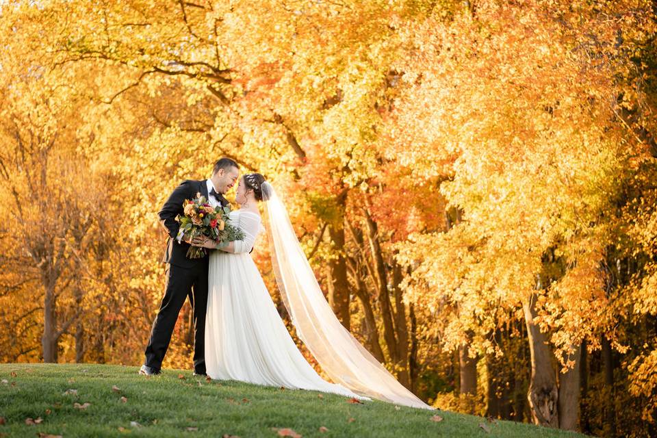 Autumn on Course