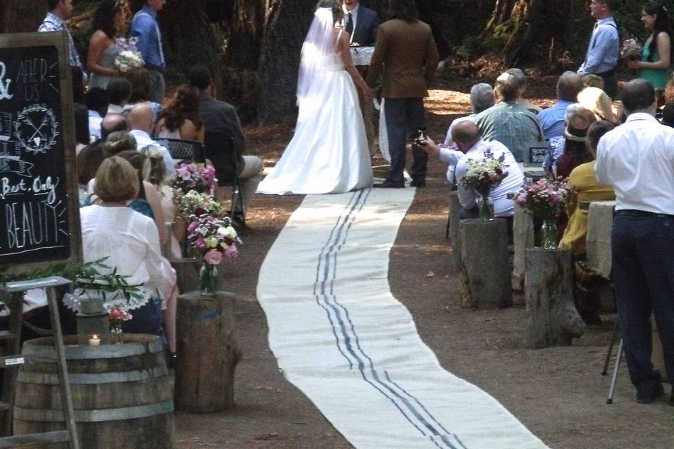 Pick your ceremony spot among many. This shot is from our Redwood Cathedral Grove where many couples choose to marry.