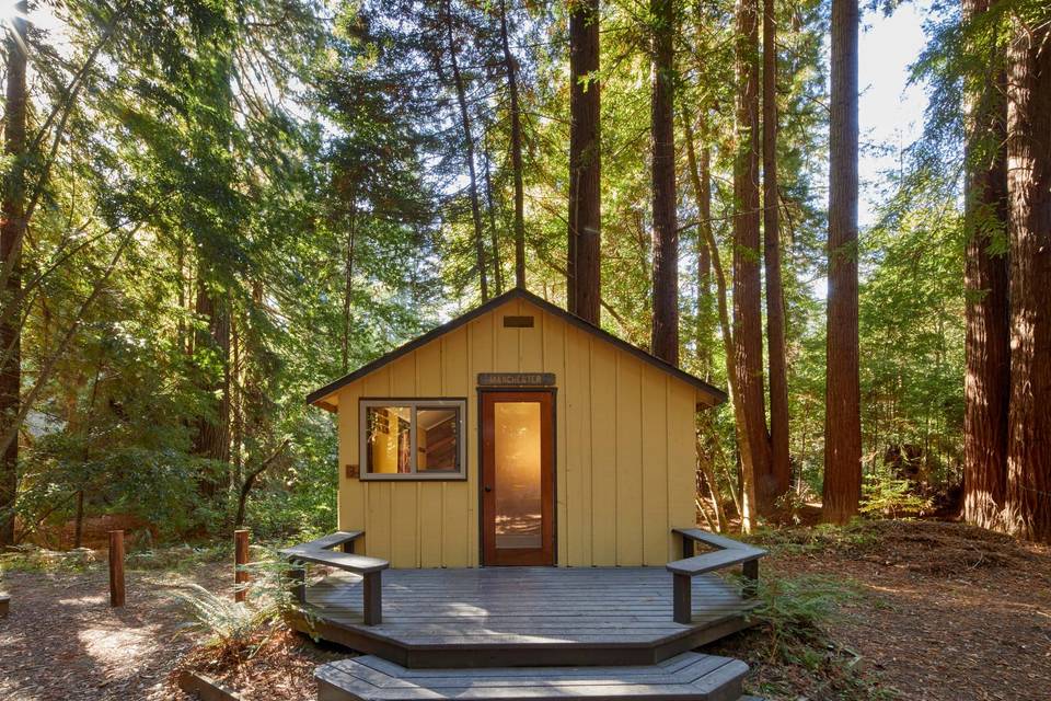 Cabin and Redwoods