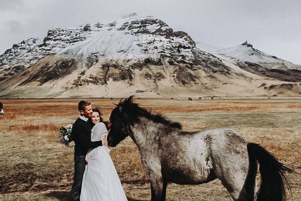 Love and Nature United