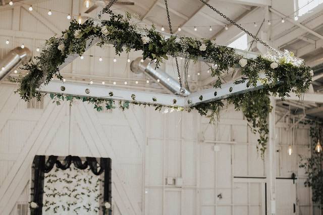 Velvet and Bloom florals