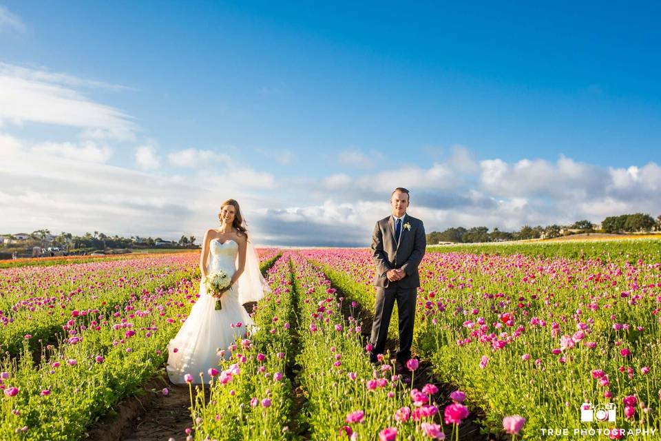 Couple portrait