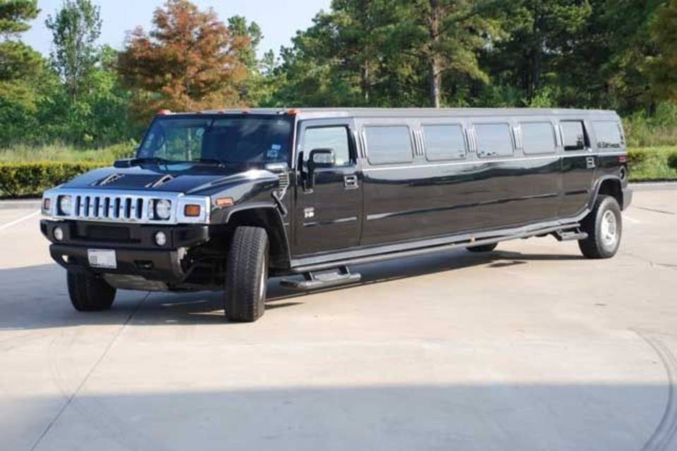 20 Pax hummer