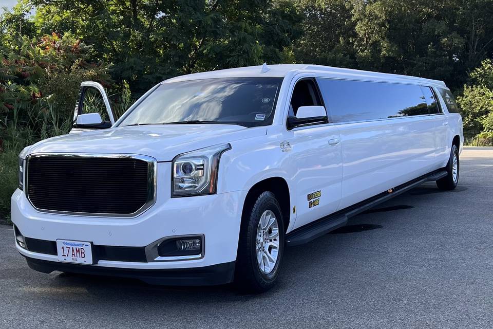 12 PASSENGER LIMO.jpg