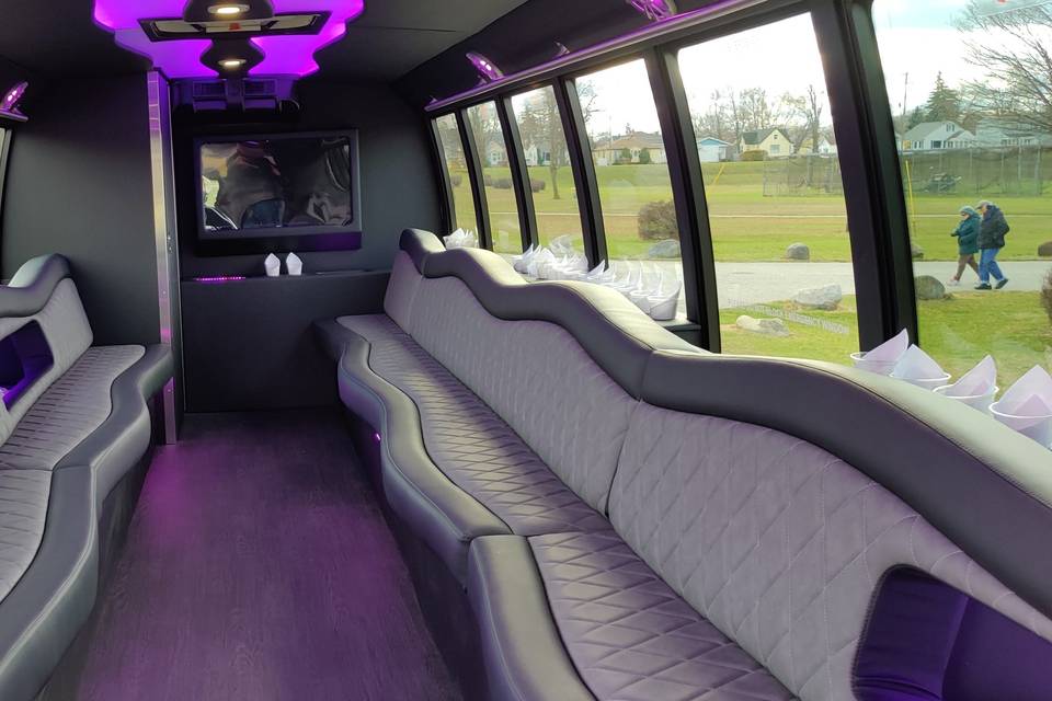 28 passenger party bus (1).jpg
