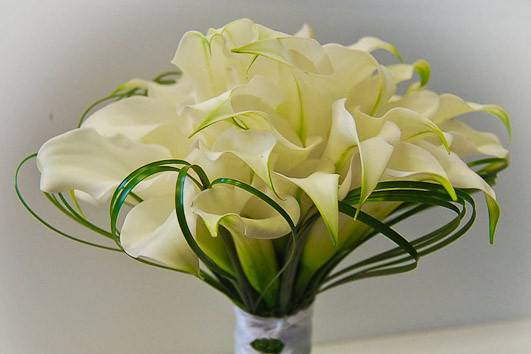 An elegant bouquet of white mini calla lilies and bear grass loops hand tied with sheer white ribbon.