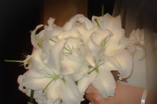 Perfectly white fragrant Casablanca lilies, what can be more attention grabbing?......only a beautiful happy bride.